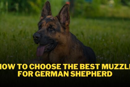 How to choose the best muzzles for German Shepherds
