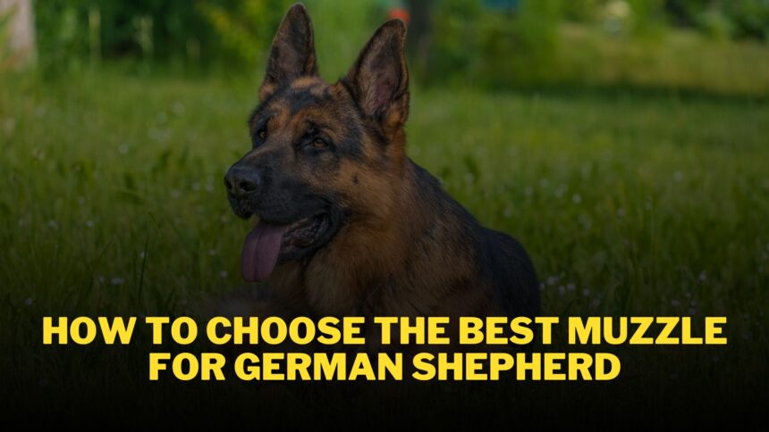 How to choose the best muzzles for German Shepherds